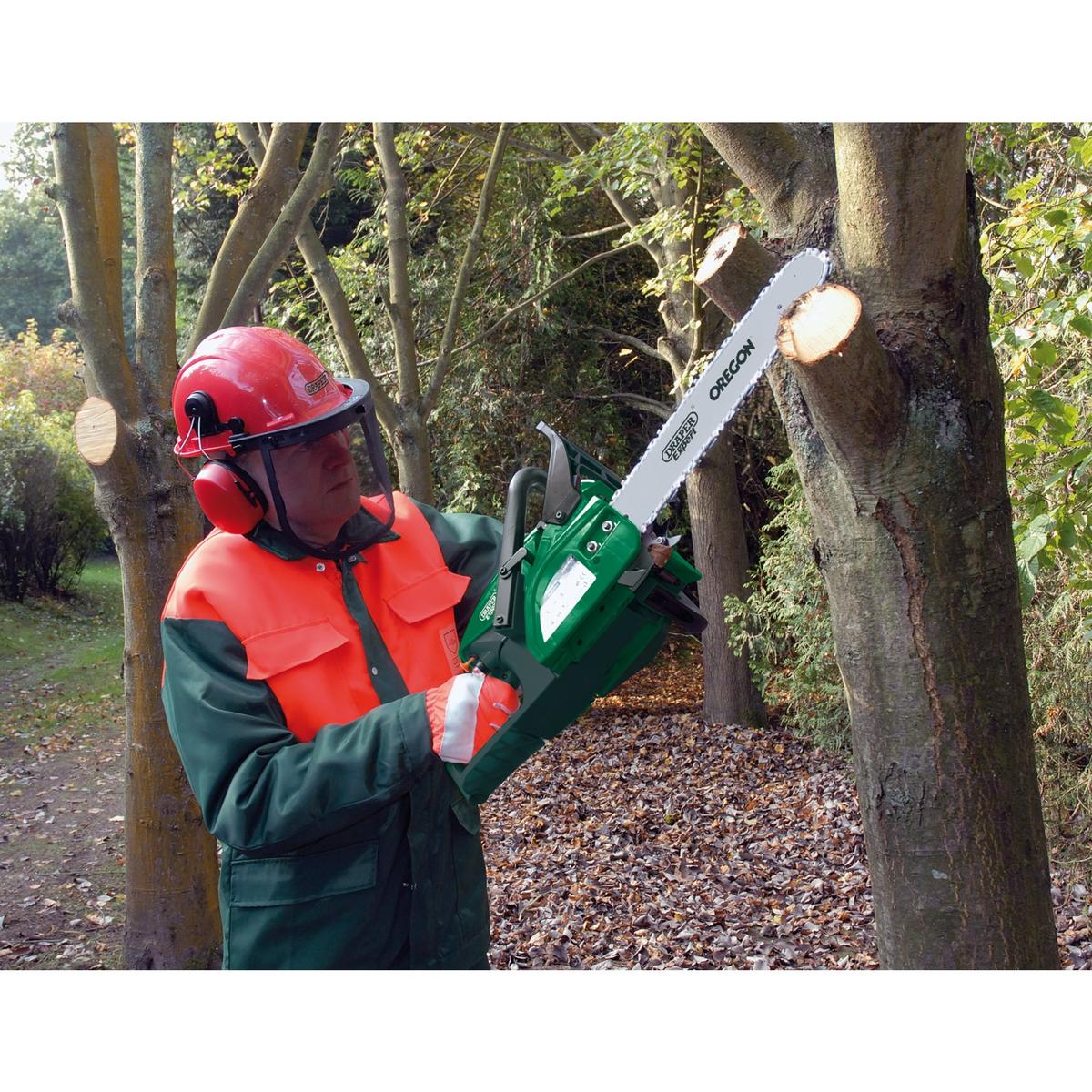 Draper Forestry Safety Helmet with Visor & Ear Defenders - Image 2